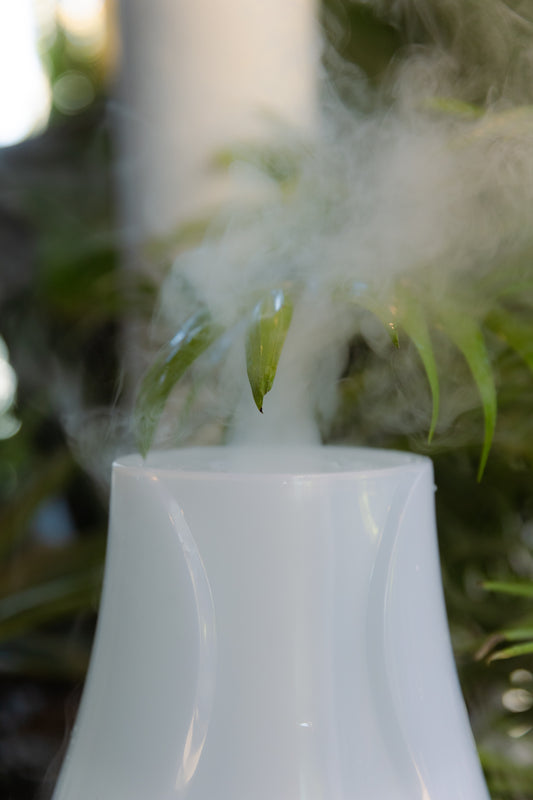Humidificador Air Purifying 2L