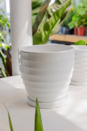 Macetero Cerámica Ondas Blanca