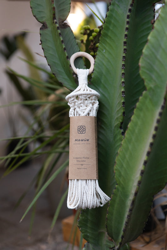 Colgante Macramé Planta Eucalipto