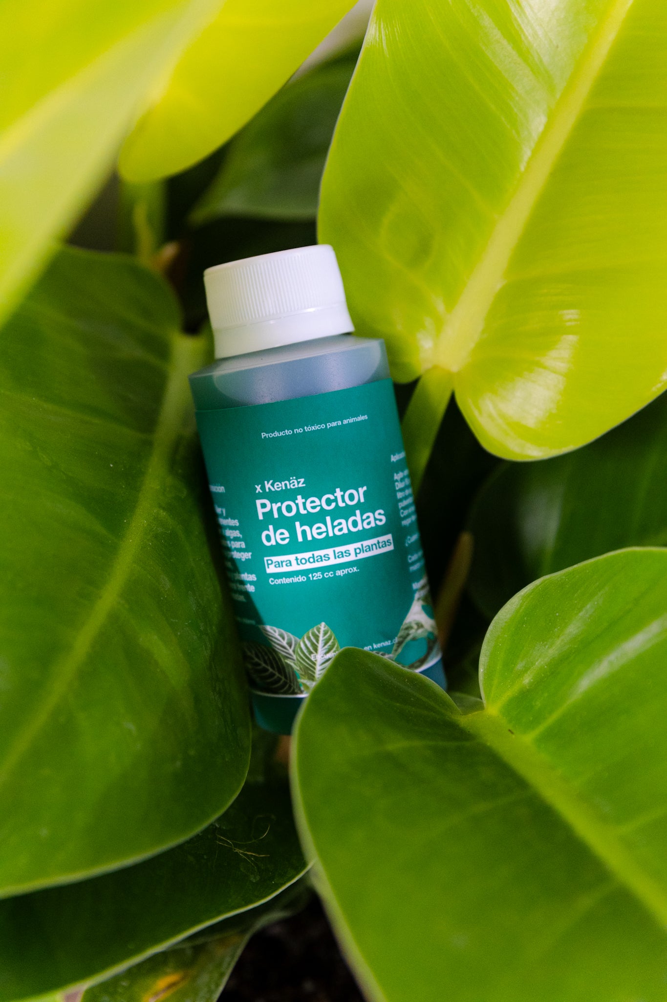 Protector de Heladas