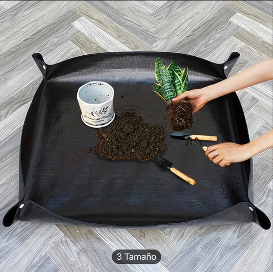 Alfombrilla para Trasplante