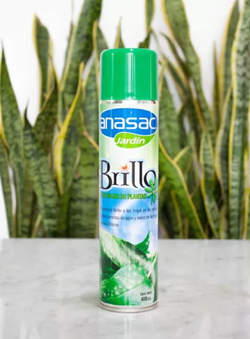 Brillo Anasac