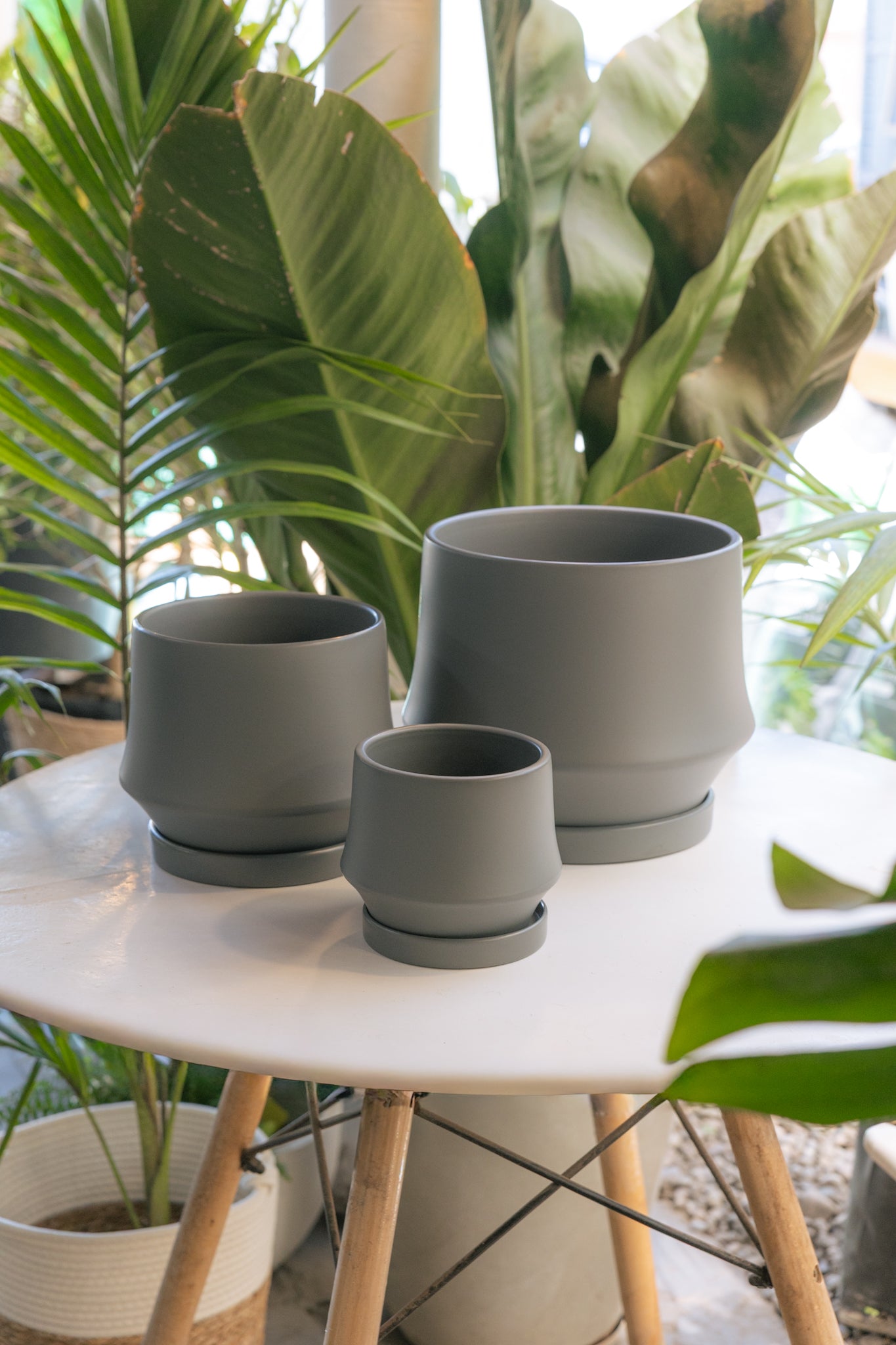Macetero Indie Gris