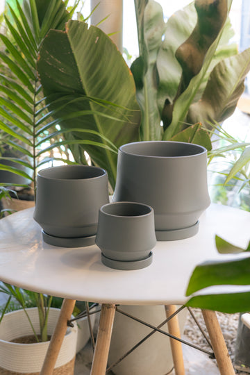 Macetero Indie Gris