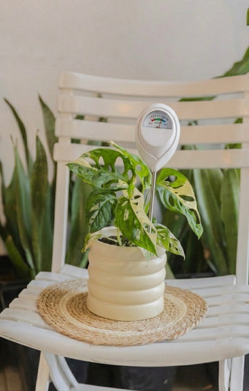 Medidor de humedad para Plantas