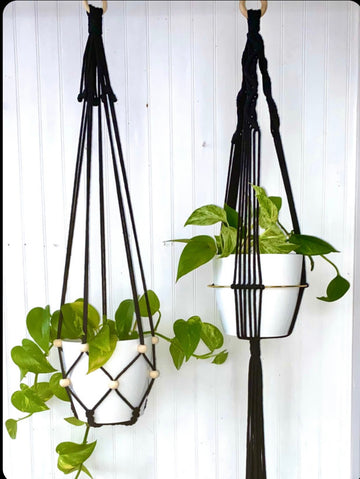 Colgante Macramé Planta Acacia