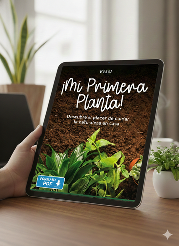 Guia de Cuidados (Digital PDF)