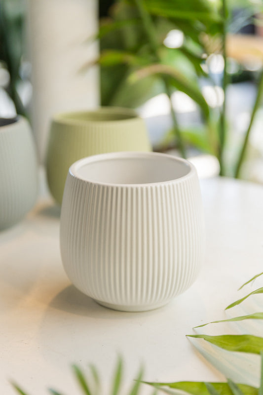 Macetero Cerámica Vasija Ranurada