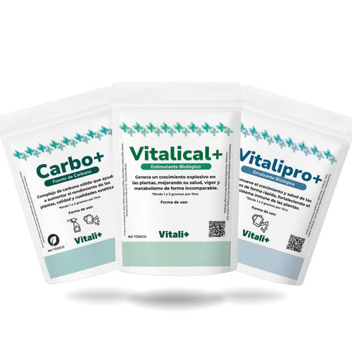 Pack Verano