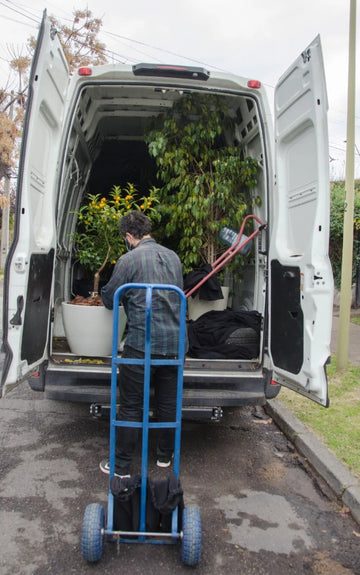 Cargo extra por