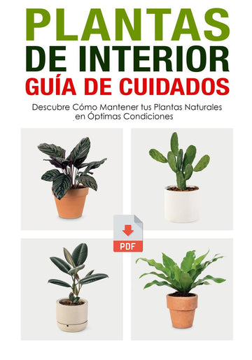 Guía de cuidados para invierno DIGITAL
