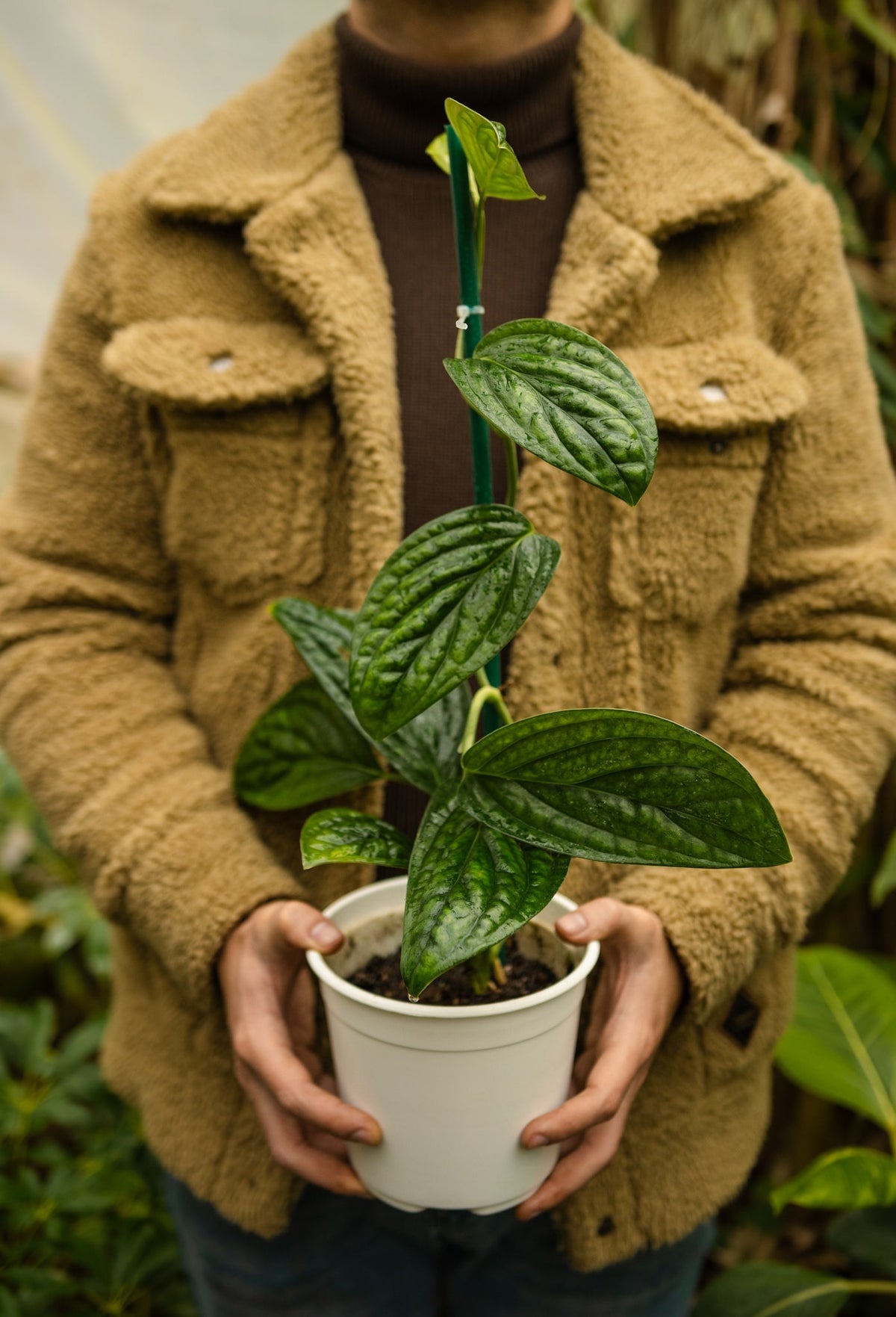 Persona sosteniendo una planta preparada por Kenaz