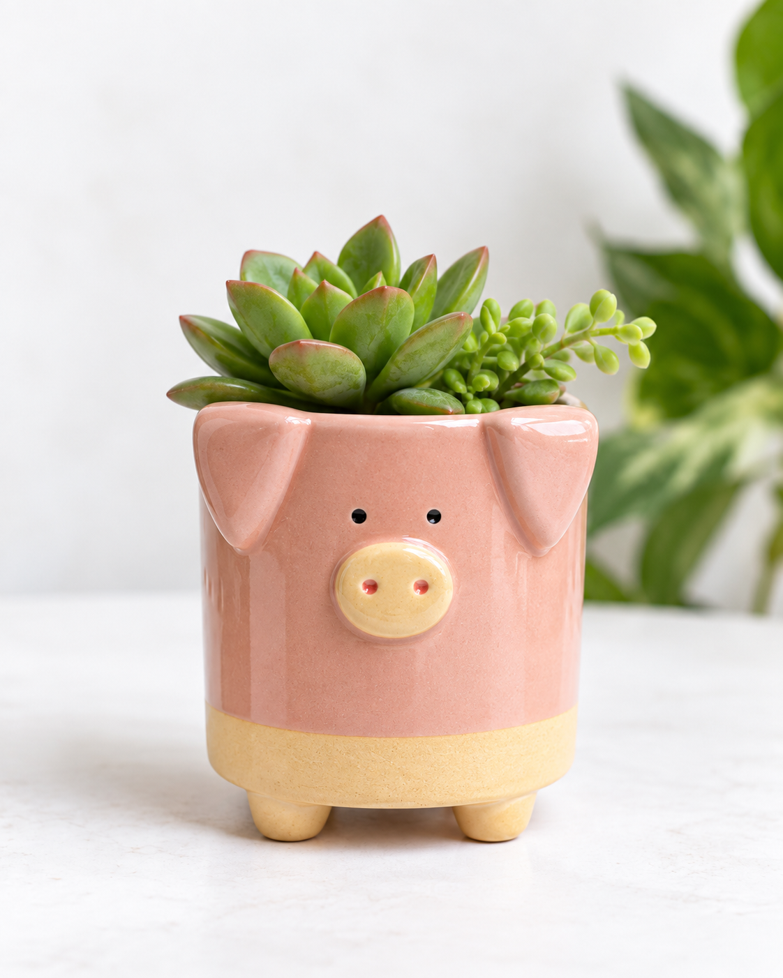 Macetero rostro cerdito rosado