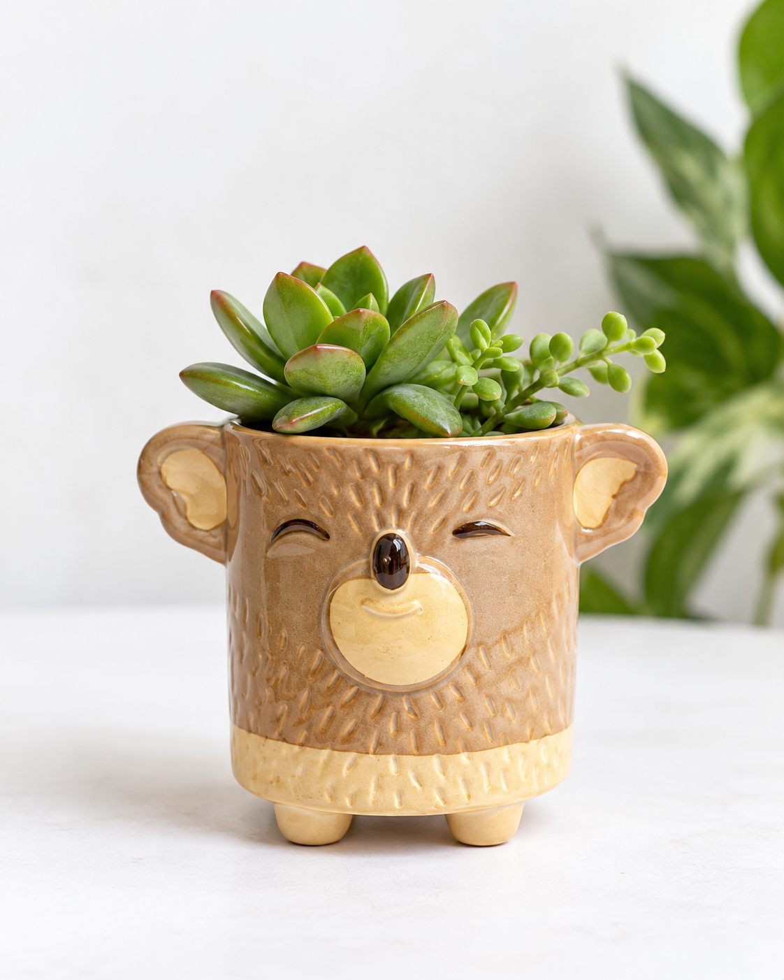 Macetero rostro oso beige