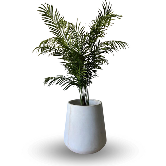 Macetero Nías Fibra de Arcilla 33x24cm (VAS)