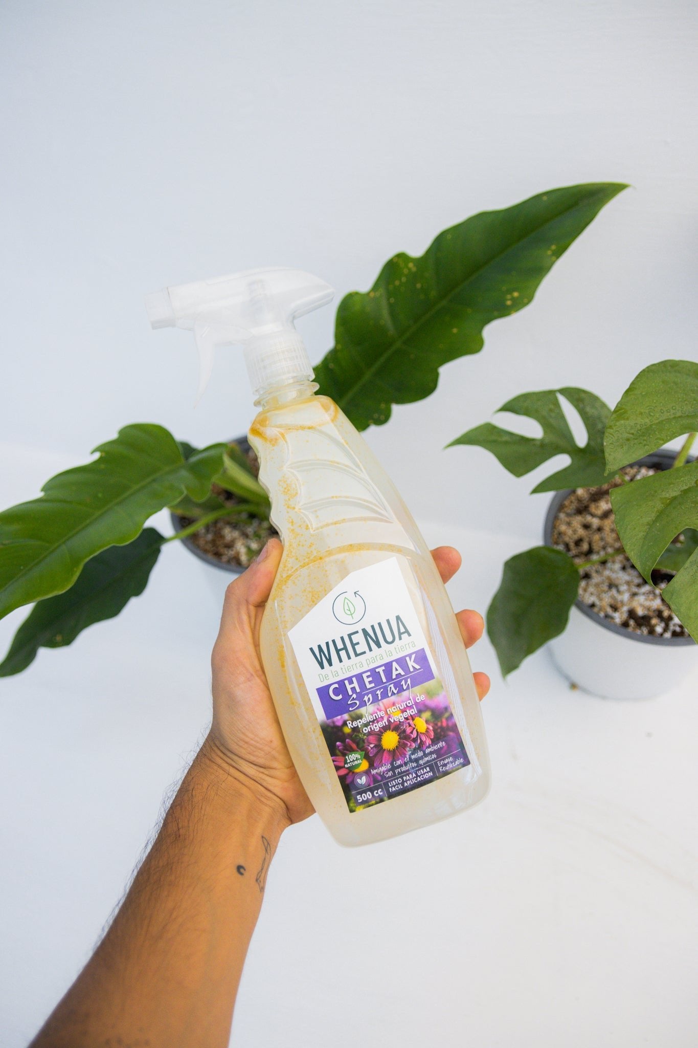 Insecticida Chetak | Fungicida natural para plantas | Comprar | Kenaz