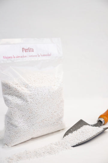 Perlita